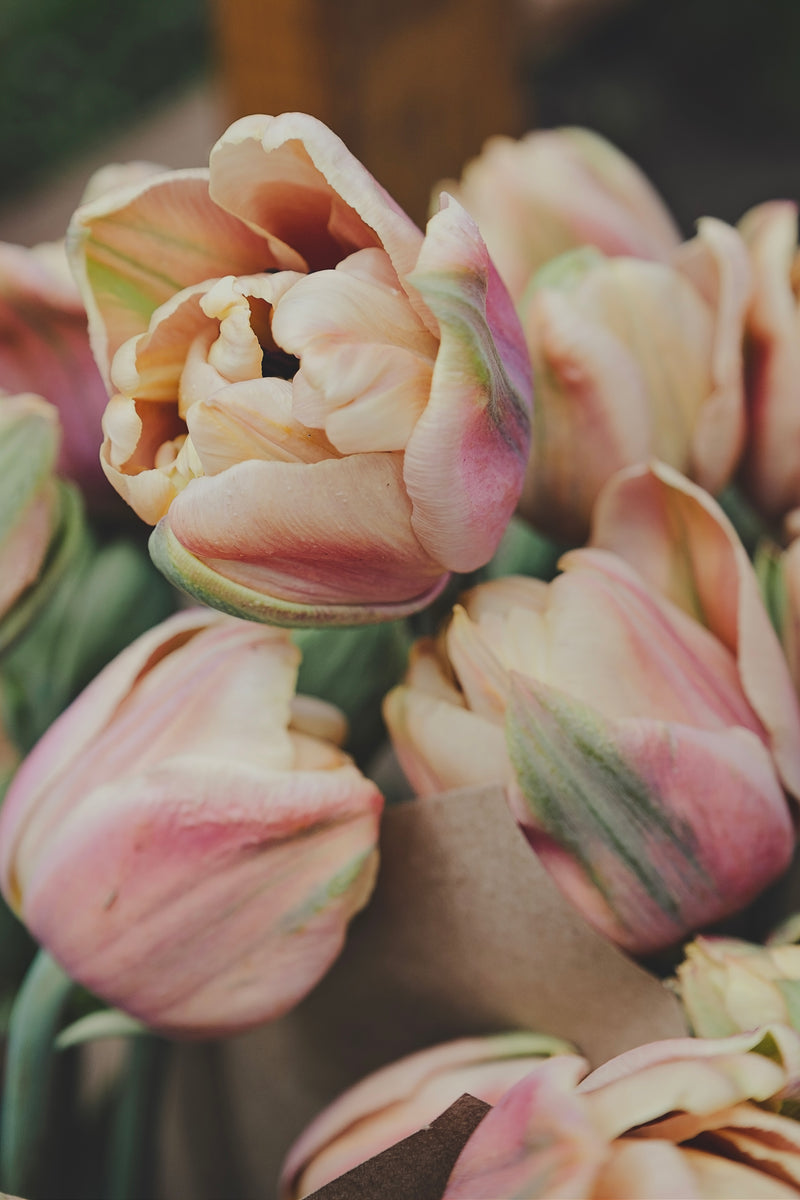 Bouquet de tulipes
